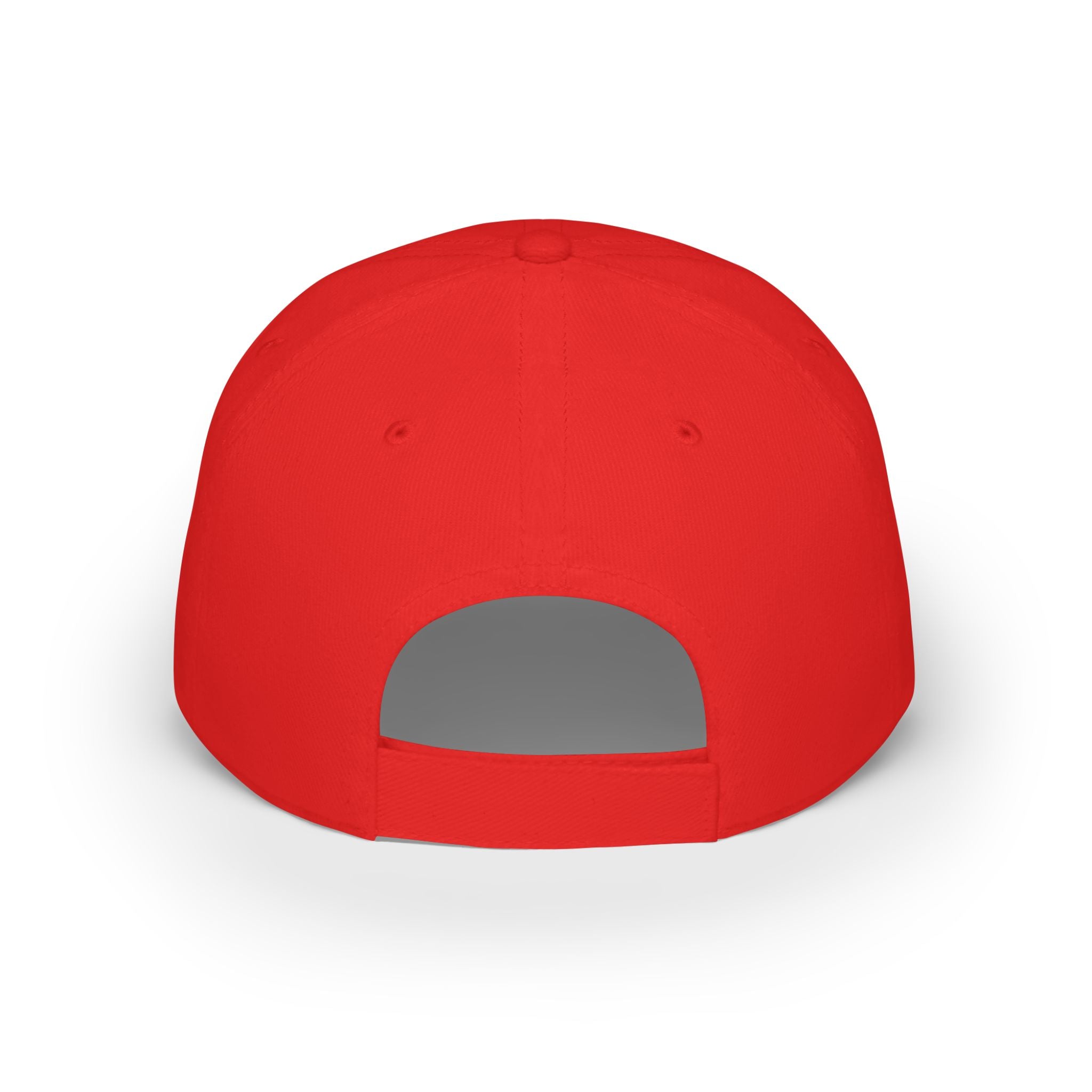 USA Citizen Low Profile Baseball Cap, Patriotic Hat,  Independence Day Hat, Summer Cap, Patriotic July 4th