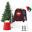 Common Sense Christianity CSC Unisex Hoodie - Encore2woMaroonS
