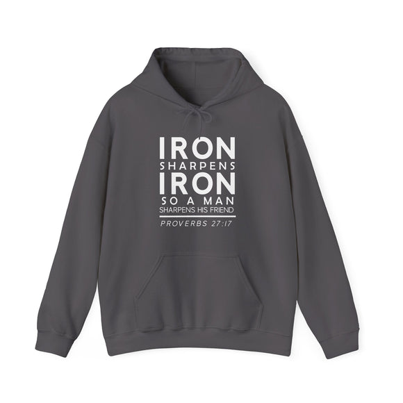 Iron Sharpens Iron Hoodie Proverbs 27 17 Faith Sweatshirt - Encore2woPurpleS