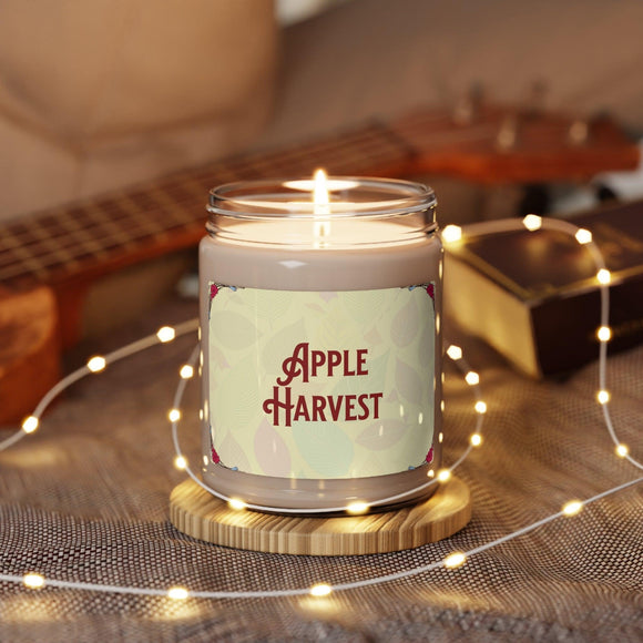 Scented Soy Candle Collection - 5 Fragrances, 9oz - Encore2woCinnamon Vanilla9oz
