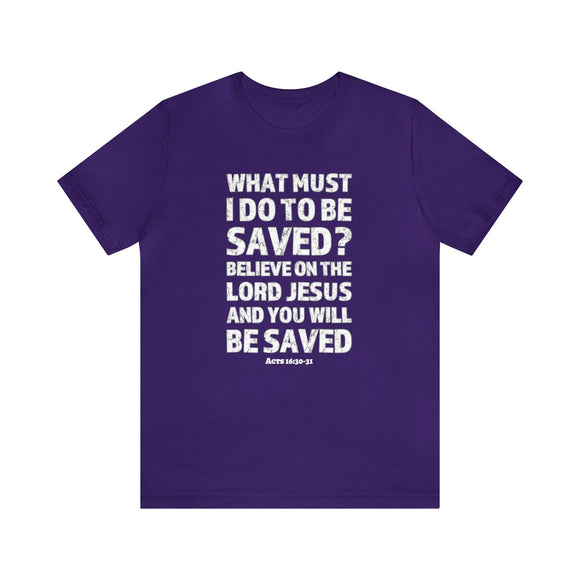 What Must I Do Acts 16:30 - 31 Scripture Tee Faith & Salvation T-Shirt - Encore2woTeam PurpleS